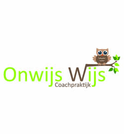 LOGO Onwijs Wijs | Ellen Meij-Koppers